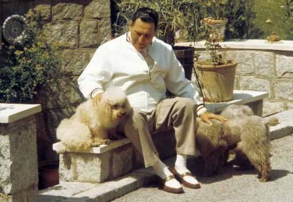 RojoPunzo45's tweet photo. "Yo tenia un perro que se llamaba León, y yo lo llamaba... León, León, y León venia, pero yo sabia que no era un león, era un perro, lo mismo pasa con algunos que se llaman peronistas y yo los llamo y vienen, pero yo se que no son peronistas”. 

Juan Domingo Perón 🇦🇷 https://t.co/UStEDXaOiO