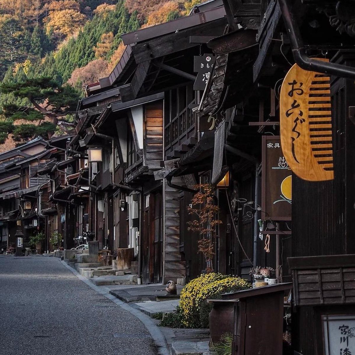 naturebeauty760's tweet photo. Nagano, Japan 🇯🇵🍂 https://t.co/muwwD1F7ZU