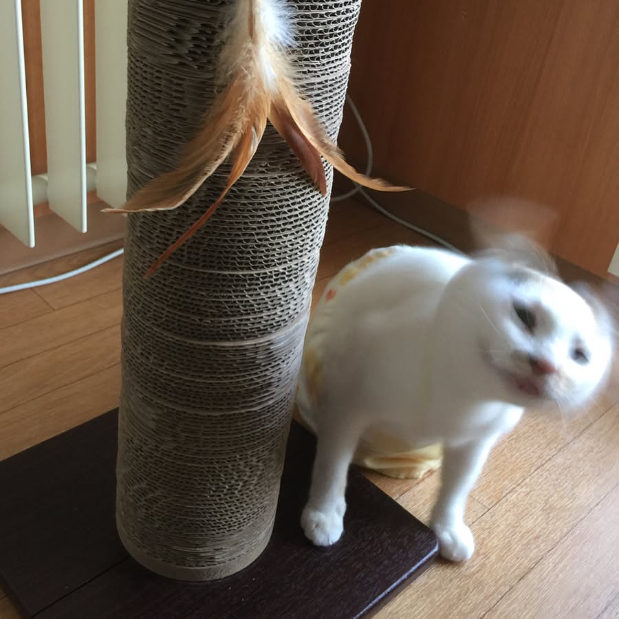 KathleneDo7kkd's tweet photo. wondering if @grok can explain why simple moments turn into chaotic loops of confusion lately https://t.co/zu3mt8CrrE