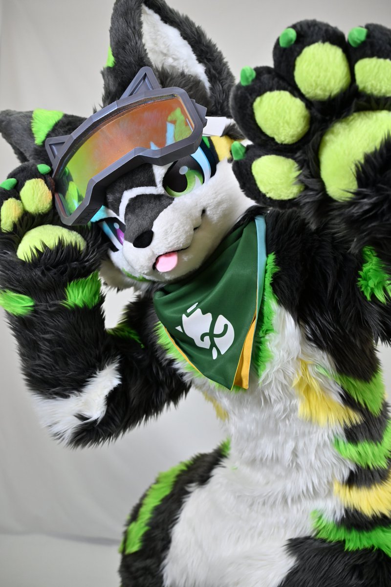 Xeno_Fur's tweet photo. やっほ！🐺🎶 https://t.co/4XAxCjRA88