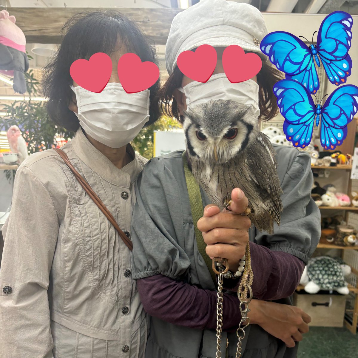 YUI2525SKY's tweet photo. #いきものふれあい学校
#松山
📺番組でチケット当選😊ありがとうございます🎀
今日母と行って来ました。優しいスタッフさんでした。
とても可愛いくてふわふわ🩷🦉
楽しく過ごしました🐶♪ https://t.co/fsMjzHZrg2