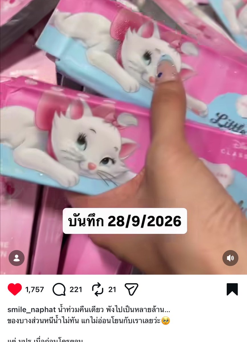 fernaengeiei's tweet photo. ในขณะที่มีหลายแบรนด์หลายคนเจนaiน้ำท่วมเอาคอนเทนต์ แต่มันมีแบรนด์ที่ได้รับผลกระทบจริงๆ🥲 อย่างแบรนด์ misslens น้ำท่วมโกดังต้องทิ้งคอนแทคเสียหายหลายล้าน แล้วรุ่นแมวในรูปใส่แล้วตาสวยจริง เสียดายอะ นี่ใส่ทุกวัน เป็นกำลังใจให้แบรนด์เยอะๆเลย https://t.co/pYaIzXRN8M