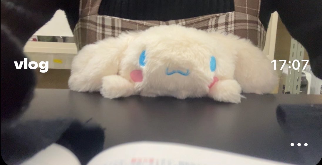 Fa77bn's tweet photo. 猫背矯正のためにシナモンのふんばるず買ったんやけど流石に可愛すぎて勉強も捗りますわと言った具合 https://t.co/w2m3cgnABS