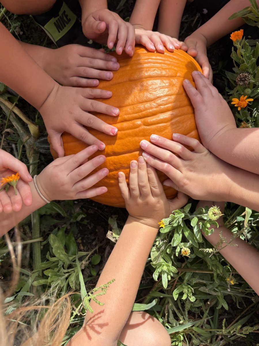 LoveBritishFood's tweet photo. 🌱 THIS is British Food Fortnight in action. 🇬🇧

Wicor Primary School  is doing something extraordinary this year.

Pupils are taking part in a whole-school Field Kitchen Festival — harvesting, preparing, cooking and sharing the fruit and vegetables they have grown themselves.

Over the fortnight, they’ll be cooking alongside an amazing line-up of chefs, artisans and local food champions, turning their school grounds into a celebration of British seasonal food, growing and food education. 👩‍🍳🍎🥕

As Alexia Robinson, Founder & CEO of Love British Food, says:

“Wicor is an inspiration to all.”

We couldn’t agree more. ❤️

This is how you create the food lovers, cooks and champions of tomorrow.

#BritishFoodFortnight #BFF2026 #WicorFoodFestival #ChooseBritish #FoodEducation #BritishFood #WicorPrimarySchool  @ChefEmmess @Food_Foundation