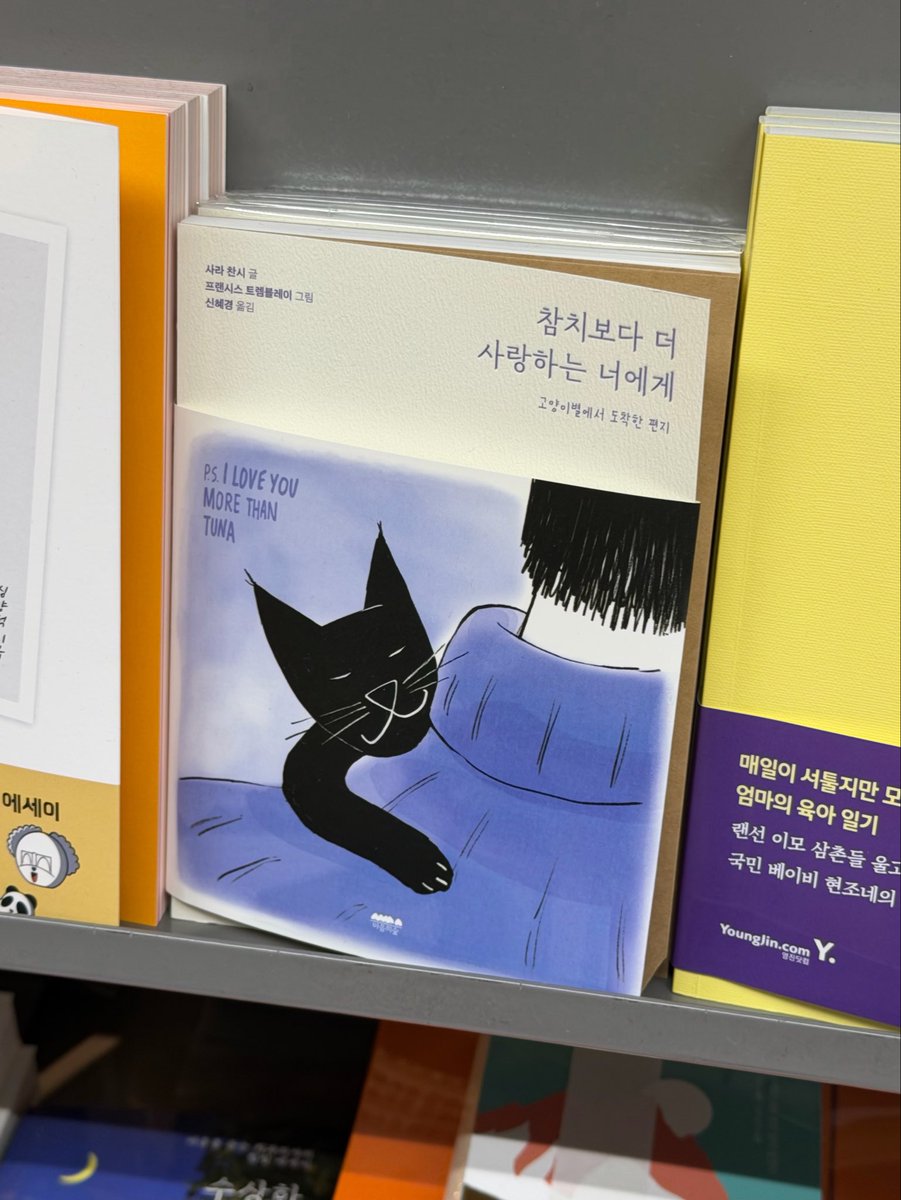 fuufu_11's tweet photo. 그리고 오늘도 변함없이 ���양이가 보이면 걍 냅다 다 찍고 봣어 https://t.co/mp92U6DVLl
