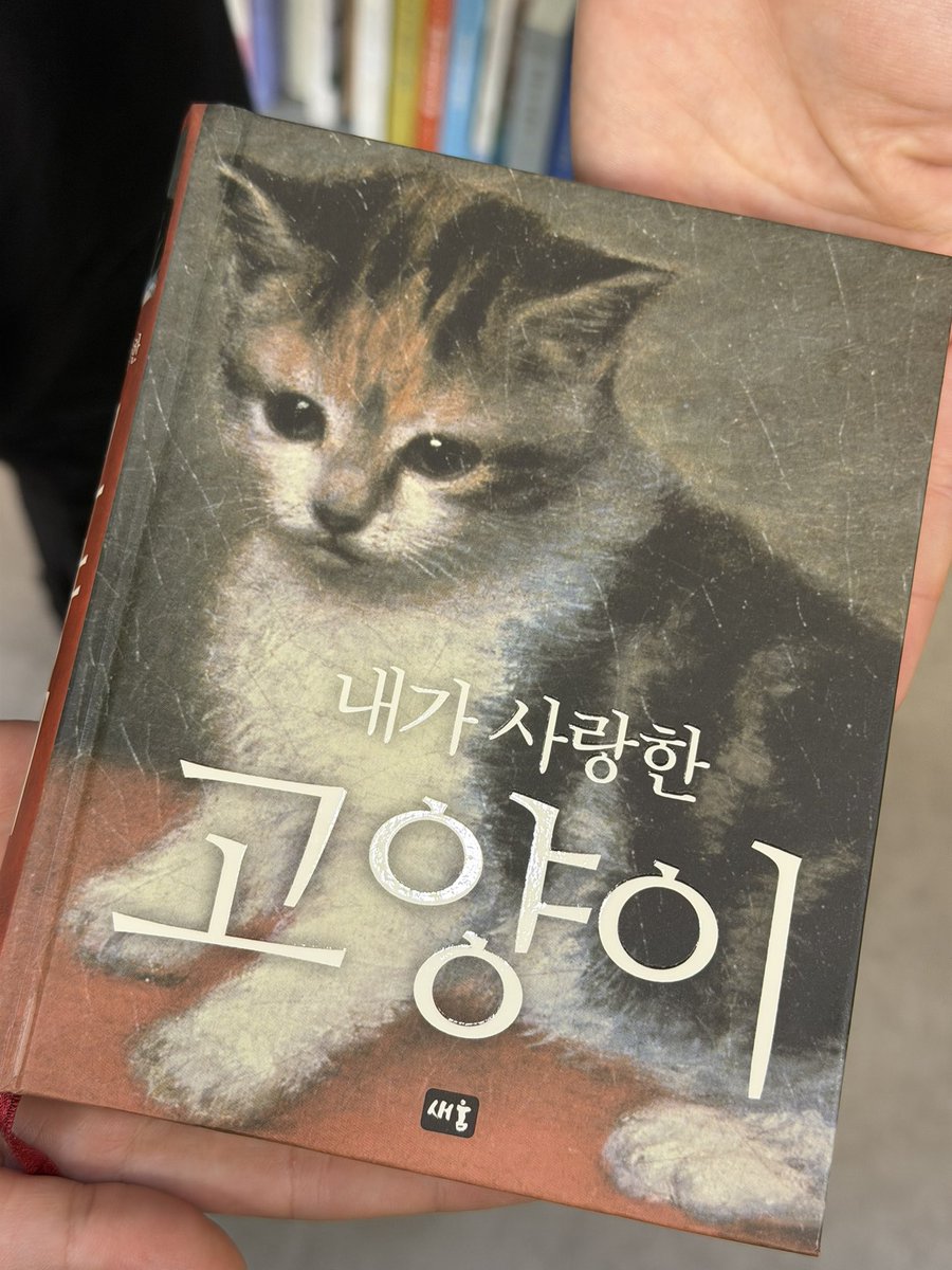 fuufu_11's tweet photo. 그리고 오늘도 변함없이 ���양이가 보이면 걍 냅다 다 찍고 봣어 https://t.co/mp92U6DVLl