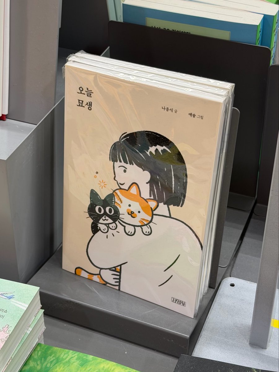 fuufu_11's tweet photo. 그리고 오늘도 변함없이 ���양이가 보이면 걍 냅다 다 찍고 봣어 https://t.co/mp92U6DVLl