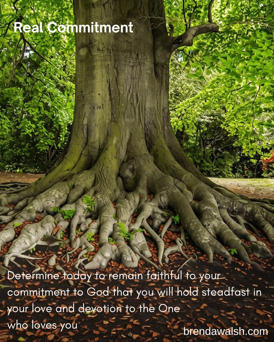 brendakwalsh's tweet photo. Real commitment isn’t built on fleeting emotions; it’s rooted in steadfast devotion. Determine today to stay faithful to the One who loves you unconditionally. 🌳✨
#RealCommitment #FaithfulGod #ChristianInspiration #SteadfastFaith #DailyDevotion #Loyalty #Love #Unconditional https://t.co/uAFILXcOiR