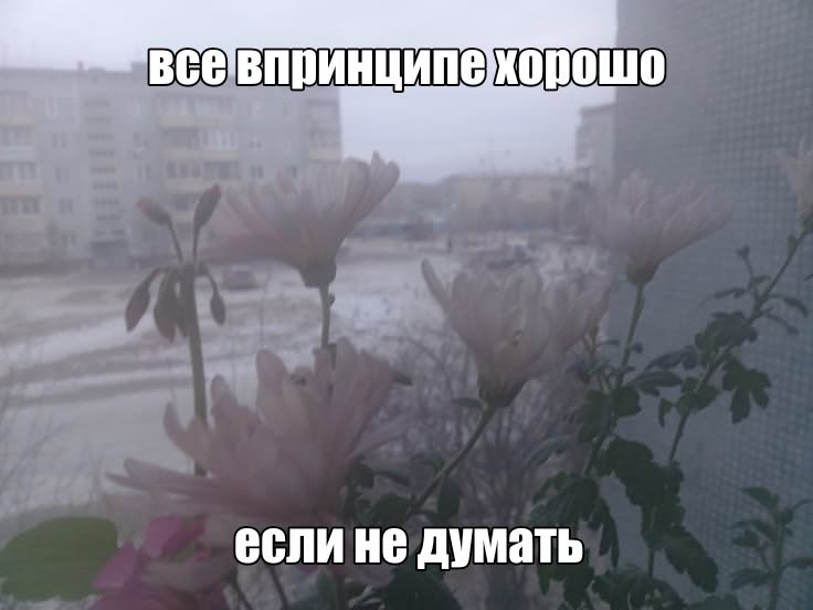 una_rar's tweet photo. https://t.co/Nd2U8P4Yi6
