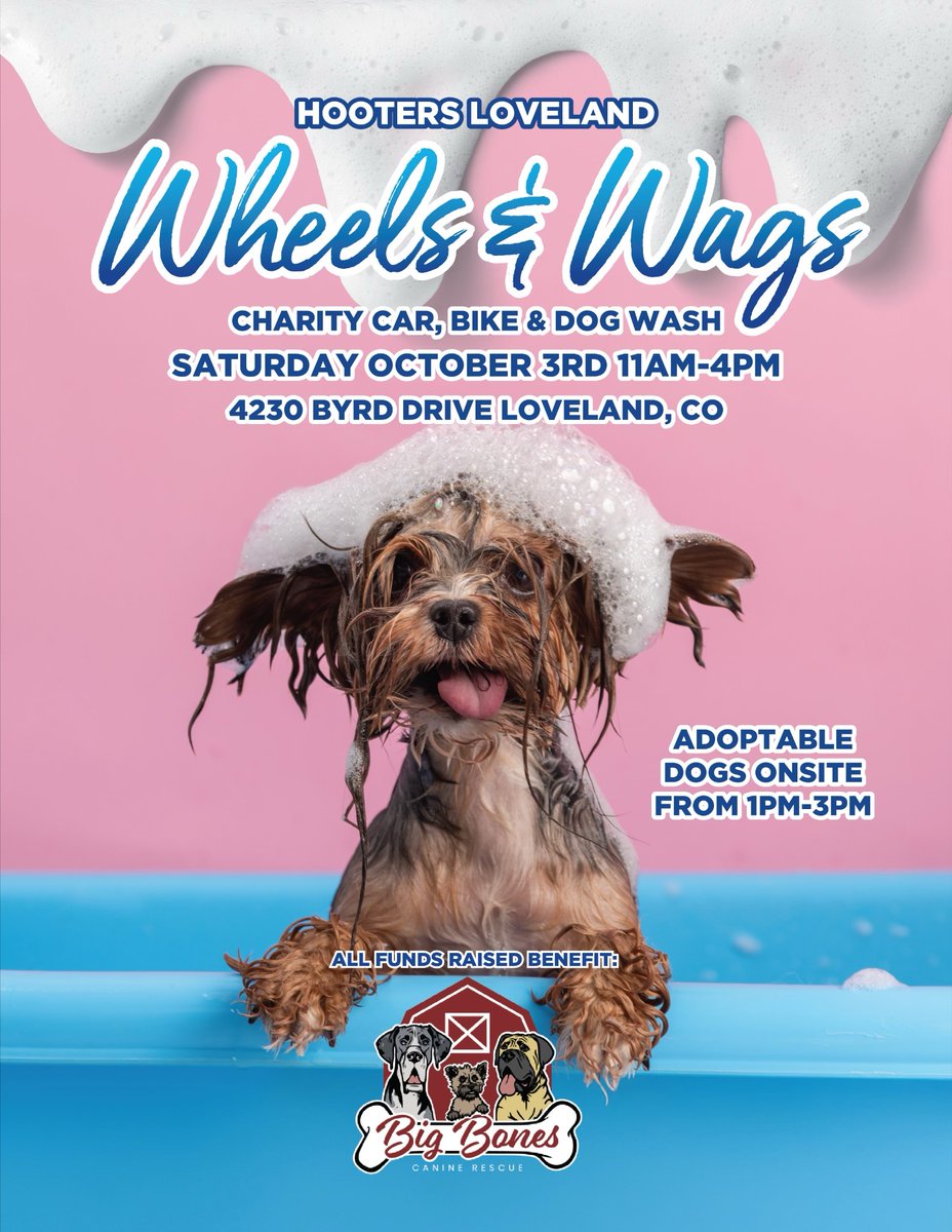 HootersCO's tweet photo. Still ridinโ dirty? GOOD. ๐๐งฝ
Donโt clean up on our account! Keep the car dirty, the bike dirty and let the pup roll around in whatever questionable thing they find. ๐๐ถ
#RidingDirty #WheelsAndWags #BigBonesCanineRescue https://t.co/4iwkwcWb7I