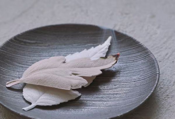 i_______DESIGN's tweet photo. 置いて香り、焚いて広がる、和紙で作られた葉っぱのお香。
HA KO(ハコ)　|　薫寿堂　|　1717r2

ー
A leaf-shaped incense made of washi paper, scenting the room quietly at rest, and filling it fully once lit.
HA KO　|　Kunjudo　|　1717r2

https://t.co/CWmSk4Xy3L https://t.co/EunP25iGP7