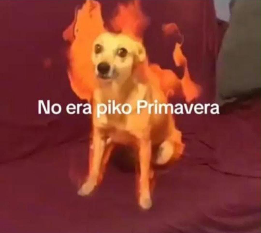 Dua_aborigen's tweet photo. Socorro https://t.co/6RVNFVfGo3
