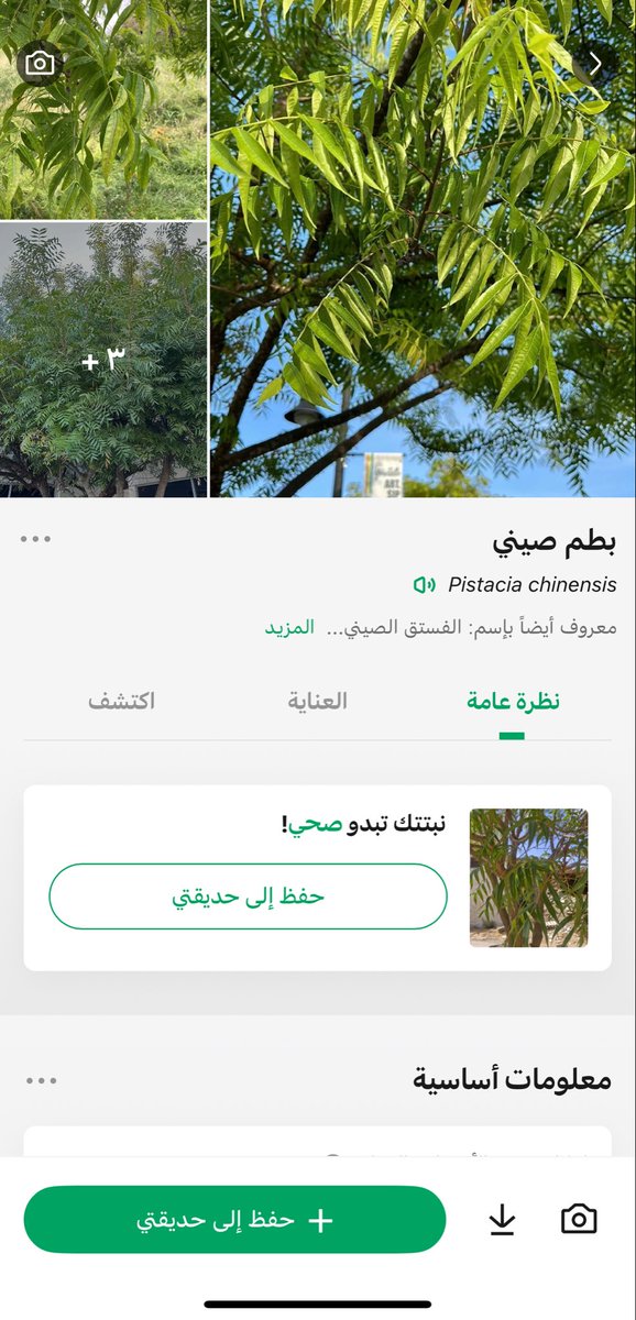 ftr2j's tweet photo. @abdullah91194 فيه تطبيق تصور الشجرة و يطلع اسمها و أمراضها و مناطق انتشار الشجرة أنصحكم فيه اسمه PictureThis https://t.co/GNZeXE1U08