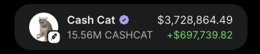 hailey_cryptoo's tweet photo. I made $3,728,864 on $CASHCAT https://t.co/b2EfwvkpES