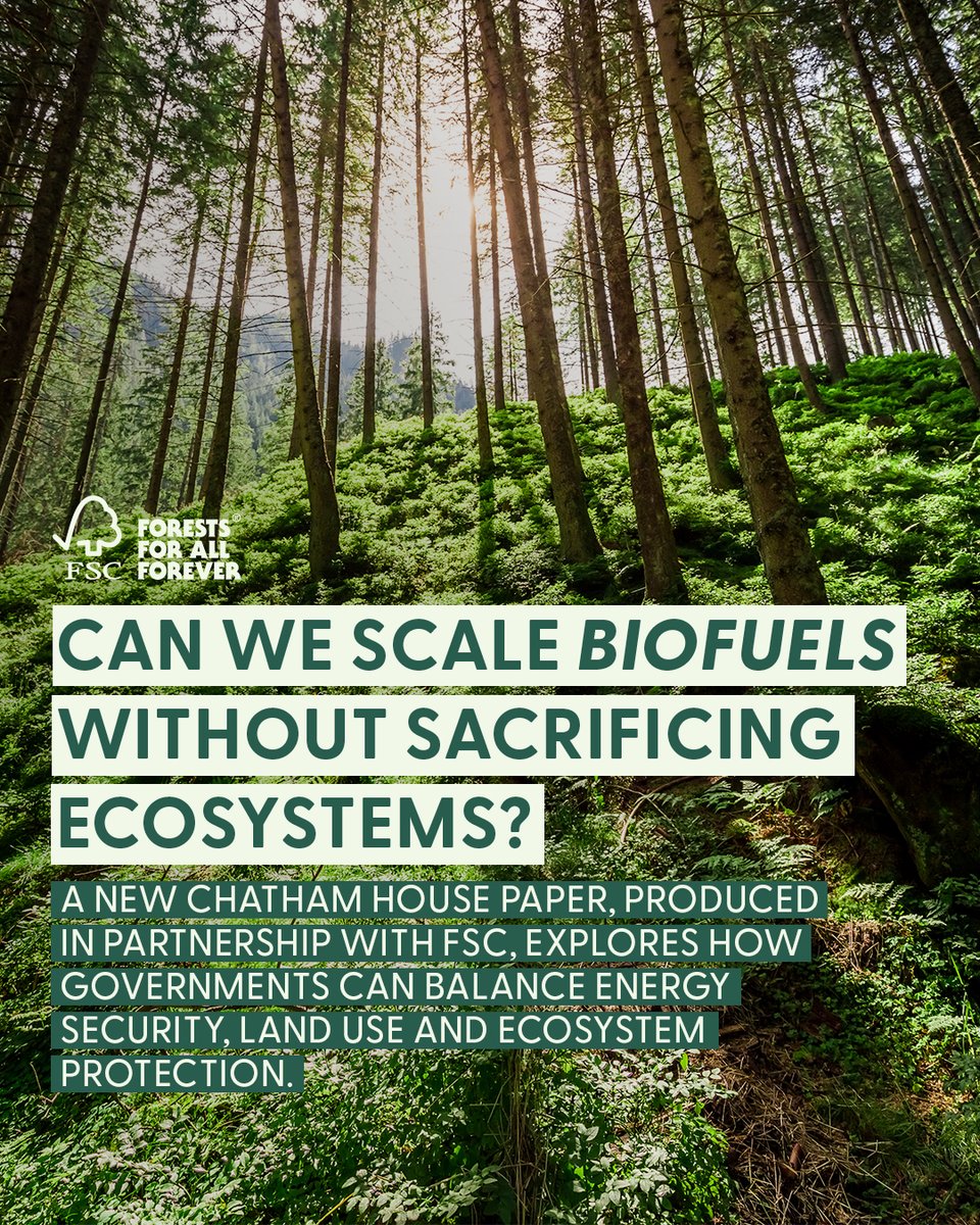 FSC_IC's tweet photo. How can biofuels support energy security without putting forests at risk?

A new @ChathamHouse paper, developed with FSC, explores safeguards including traceability, certification and land-use protections.

Read it here : https://t.co/PP1JXk1ldJ https://t.co/VuhbxsaNZh