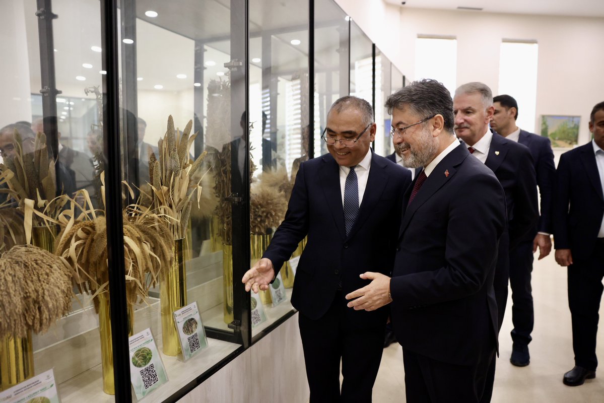 ibrahimyumakli's tweet photo. 🇹🇷🇺🇿 Özbekistan temaslarımız kapsamında Özbekistan Tarım Bakanı Sayın Ibrokhim Abdurakhmonov ile birlikte Taşkent Devlet Tarım Üniversitesi’ni ziyaret ederek, yürütülen akademik ve tarımsal çalışmalar hakkında bilgi aldık.

🤝 Köklü bağlara sahip olduğumuz dost ve kardeş ülke Özbekistan ile tarımsal eğitim, bilim ve teknoloji alanlarındaki iş birliğimizi daha da güçlendirmeye kararlıyız.

📍 İki ülkenin güçlü potansiyelini, tarımda ortak projeler ve kalıcı iş birlikleriyle daha ileriye taşıyacağız.
