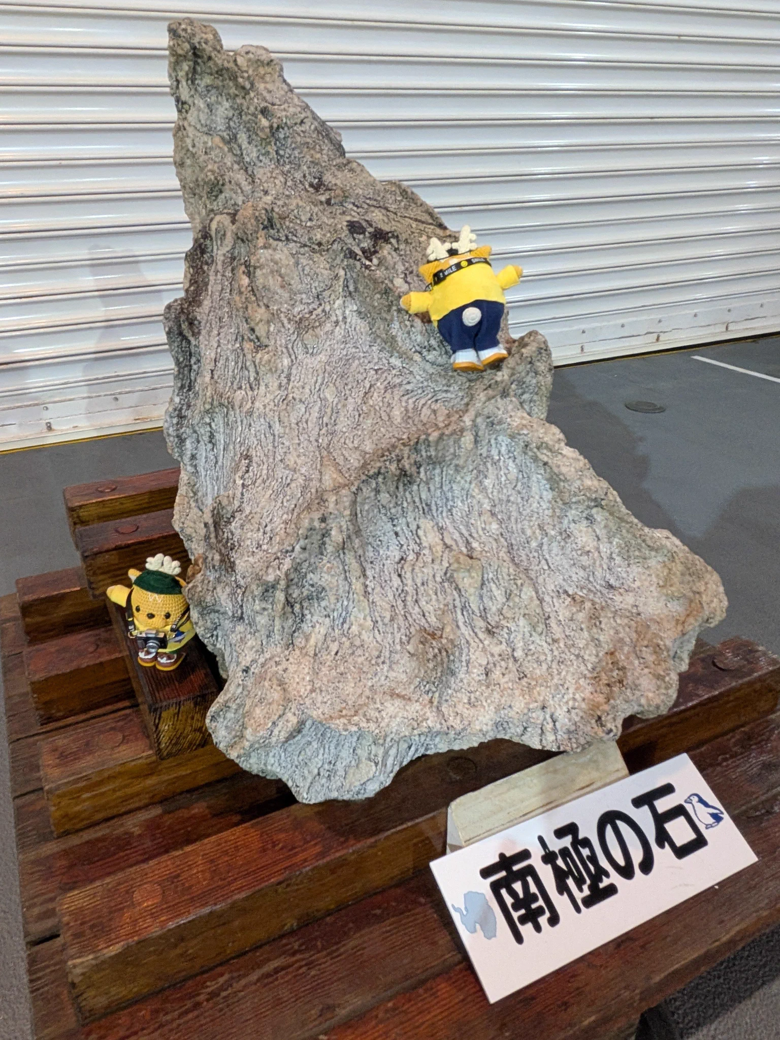 しかりん（稚内に出没中） on X: 
