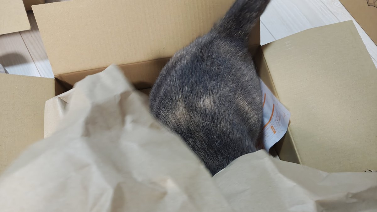 DJ_200m's tweet photo. ポケセンからの荷物を開けたらこれ https://t.co/7rrRNM6m9L