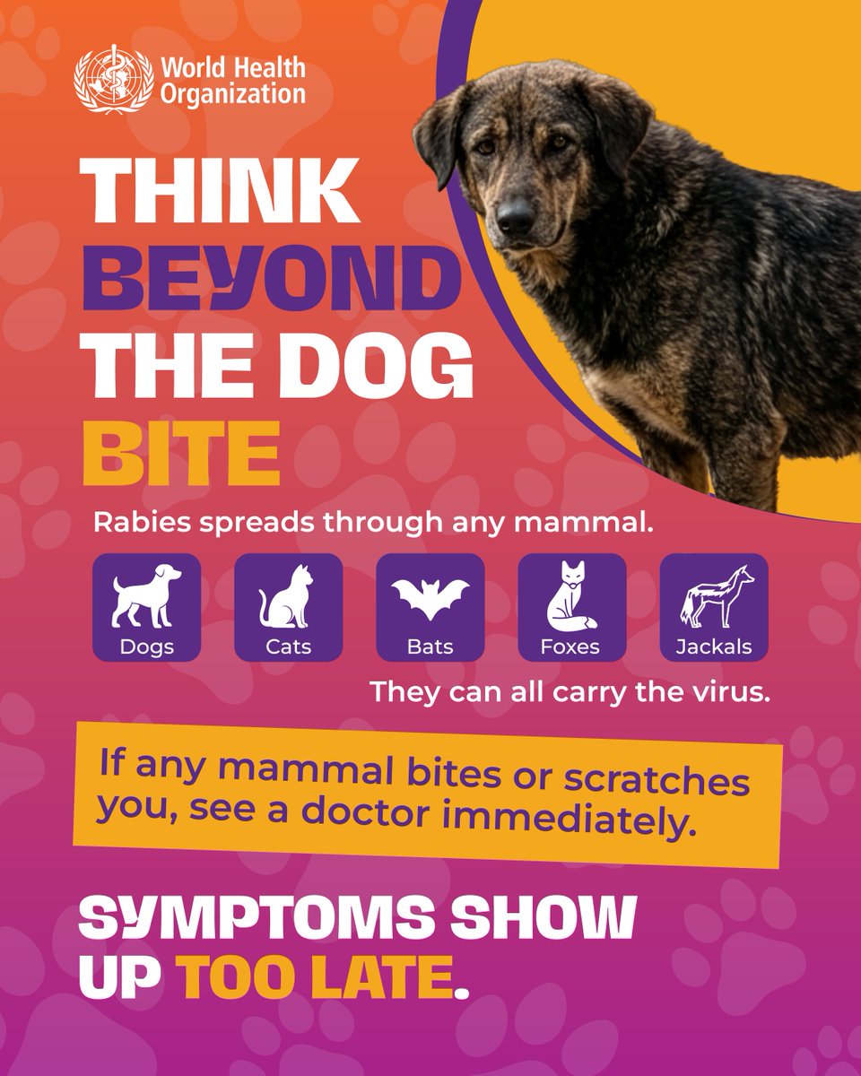 WHO's tweet photo. #Rabies isn't a dog-only problem. 
Cats, bats, foxes, jackals. Any mammal can carry the virus and pass it on through a single bite or scratch.

If it happens to you, get to a clinic fast. Once symptoms appear, it's almost always too late.

#WorldRabiesDay https://t.co/HfyCvUjzAW