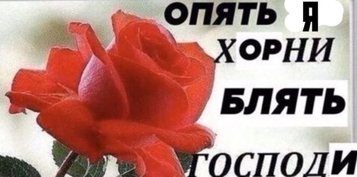 plaksaplach's tweet photo. На таких вайбах двигаюсь. https://t.co/6r5UqUUKBk