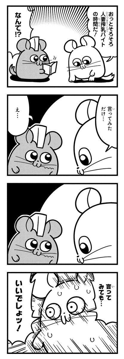 chinchilla_land's tweet photo. https://t.co/A3S5e5LnZO