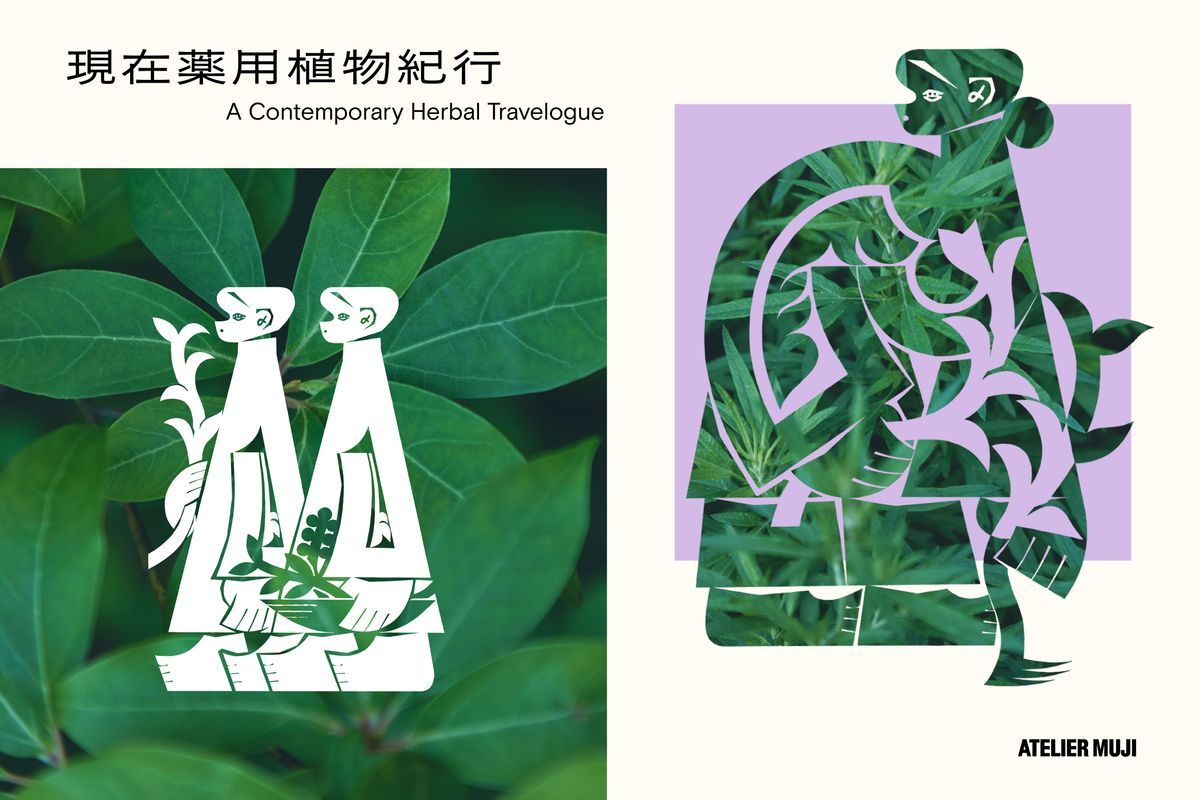 TokyoArtBeat_JP's tweet photo. 【気になる展覧会】
「現在薬用植物紀行」
https://t.co/58lkmcYwMy 
📍ATELIER MUJI GINZA（銀座）
📅8月28日〜11月23日 https://t.co/Rsf9Hx9DIb