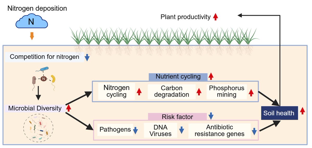 GlobalChangeBio's tweet photo. RESEARCH ARTICLE
Decadal Resampling Reveals Widespread Increases in Soil Microbial Diversity Associated With Nitrogen Deposition 
🔗 https://t.co/zrCYOgdTzm https://t.co/qkZGNpDC9P