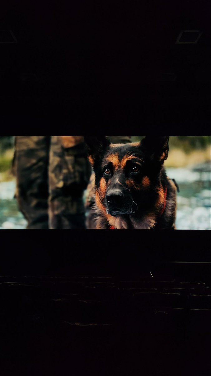 KodaliRoshan's tweet photo. ST : Heart of the Beast

EPIQ LUXON LED, AAA CINEMAS.

#heartofthebeast 
@heartofthebeast 
@ParamountPicsIN 
@aaacinemasoffl https://t.co/pcfSBtZUCa