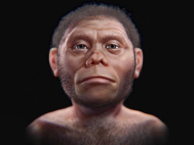 histories_arch's tweet photo. The research, led by scientists from the Chinese Academy of Sciences and the University of Hawaiʻi and published in Nature Communications, proposes Homo juluensis as a newly designated archaic human species that inhabited East Asia.  

Homo juluensis lived roughly 300,000 to 50,000 years ago, roaming the cold woodlands and plains of northern and central China (with key fossil sites at Xujiayao and Xuchang). ​They possessed exceptionally large skulls, with brain volumes reaching 1,700–1,800 cm³ around 30% larger than average modern humans (Homo sapiens). They exhibited large molars and robust jaw structures that blend traits seen in Neanderthals and earlier Asian hominins.

Paleoanthropologists suggest that Homo juluensis fossils likely represent the long-sought physical remains of the Denisovans—a group previously known almost exclusively from sparse ancient DNA fragments. 

​​Formed small, organized groups to hunt wild horses and process marrow. ​Crafted stone tools and prepared animal hides to endure harsh glacial winter climates in northern East Asia.

​​The identification of Homo juluensis demonstrates that human evolution in Asia was not a simple linear progression from Homo erectus to modern humans. Instead, at least four distinct human species coexisted in Asia during the Middle to Late Pleistocene—including Homo sapiens, Homo floresiensis, Homo luzonensis, and Homo juluensis / Homo longi—frequently overlapping, adapting to distinct regional environments, and interbreeding.

#archaeohistories