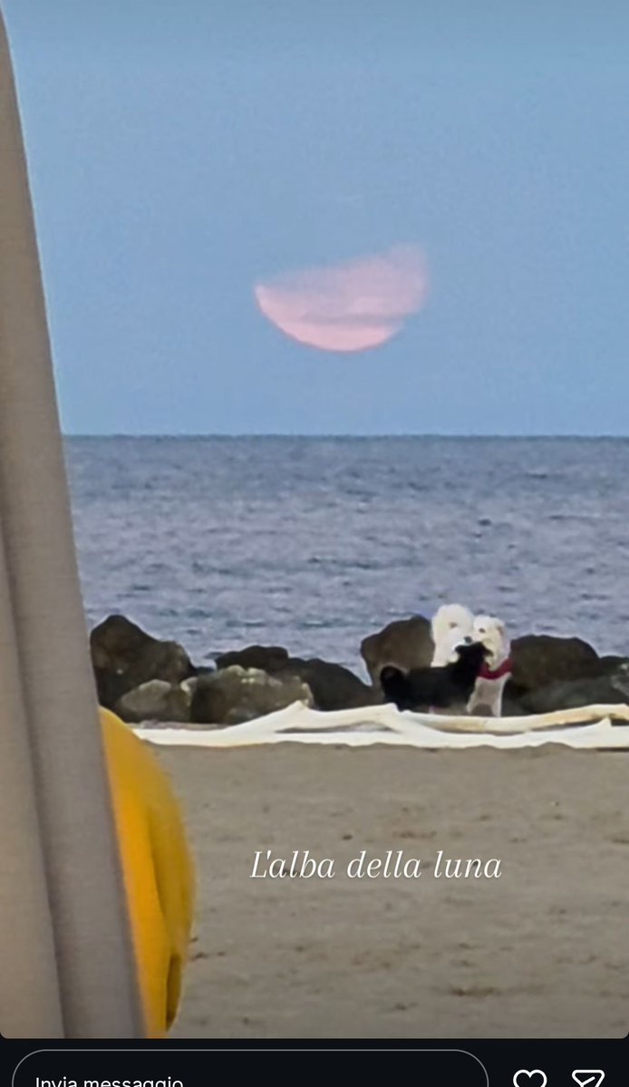 ricci8375's tweet photo. The Moon's Dawn 😇 https://t.co/zlZhGYOXxe