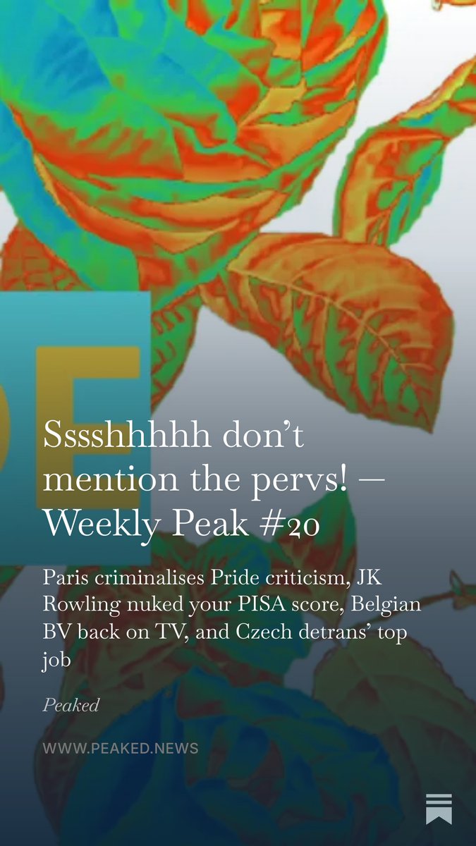 RoisinMichaux's tweet photo. France still thinks it can prosecute its way out of citizens’ dislike of rainbow authoritarianism. I suspect that this is because its lawyer-linked NGOs were so successful at very publicly destroying the lives and livelihoods of two gender critical women, Dora Moutot and Marguerite Stern, they think they can individually pluck out and prosecute every dissenter on an extremely polarising issue. 

This is, to put it mildly, not a sustainable long-term strategy.