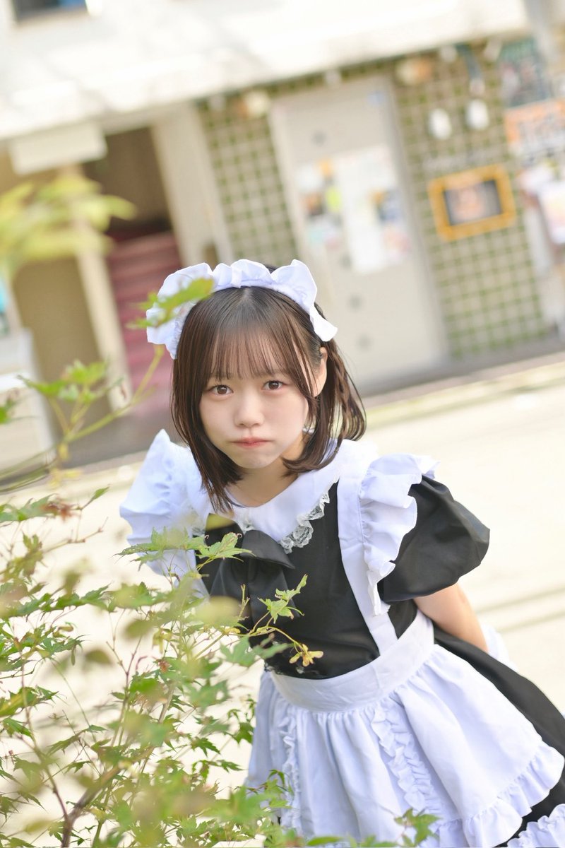 sakura_kohi's tweet photo. おかえりなさいませ https://t.co/J0Tfe1ABZz