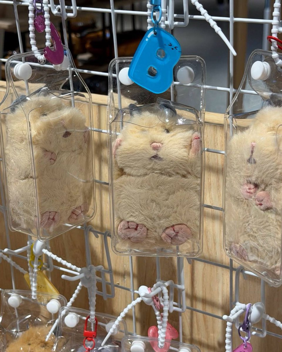 ceumte's tweet photo. KOK LUCU BANGET INI HAMSTER NYA KEGENCET 😭 https://t.co/5HgDFKQCzJ