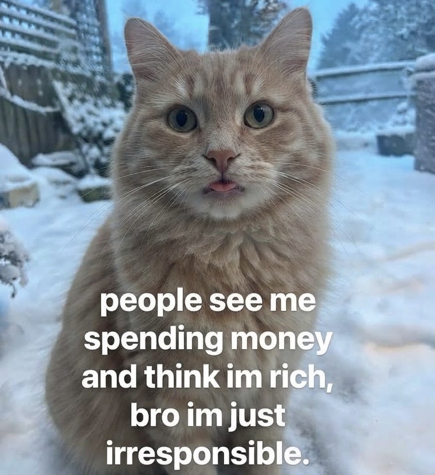 sillymeow4u's tweet photo. https://t.co/k3r0sYCb1Q