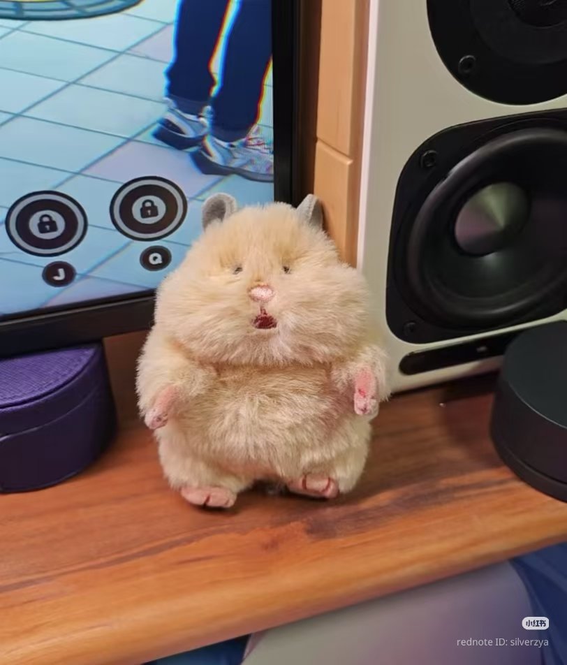 ceumte's tweet photo. KOK LUCU BANGET INI HAMSTER NYA KEGENCET 😭 https://t.co/5HgDFKQCzJ
