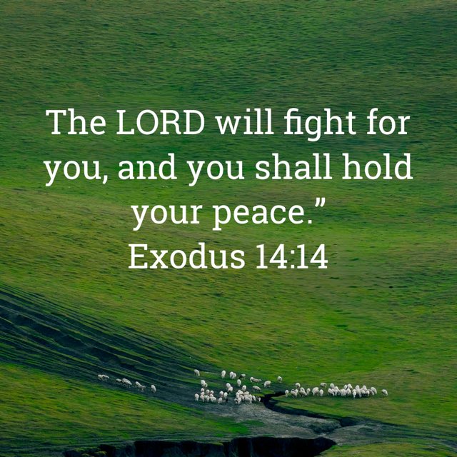 GloryToGod__GTG's tweet photo. https://t.co/PIPvET7Tu8