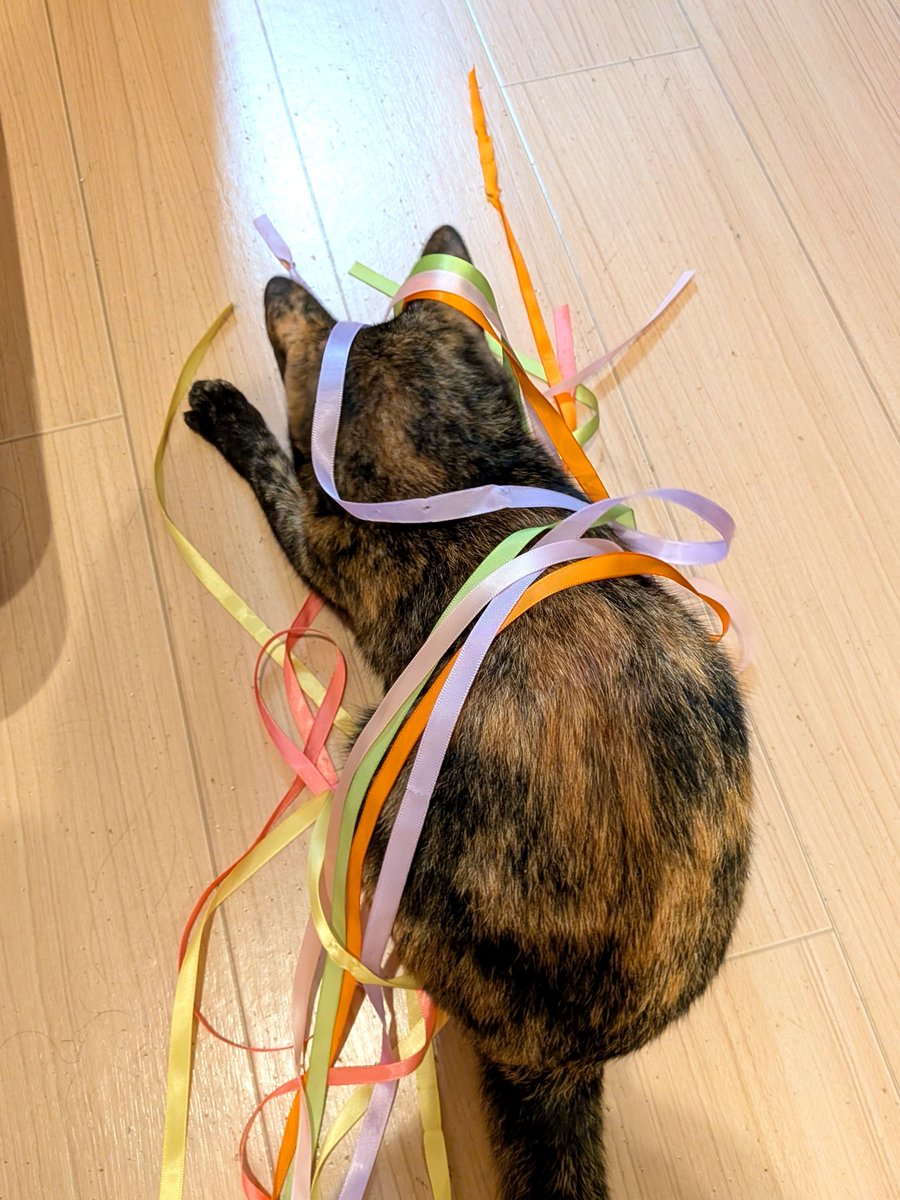ktkdl's tweet photo. もじゃもじゃした https://t.co/2eenvR2dLs