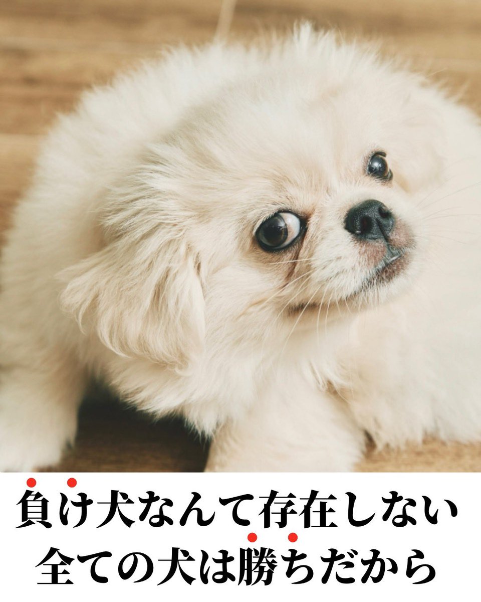 B_B_Sergeant's tweet photo. 不安を乗り越える１つのステップ（4/4） https://t.co/KhtSfKyc2e