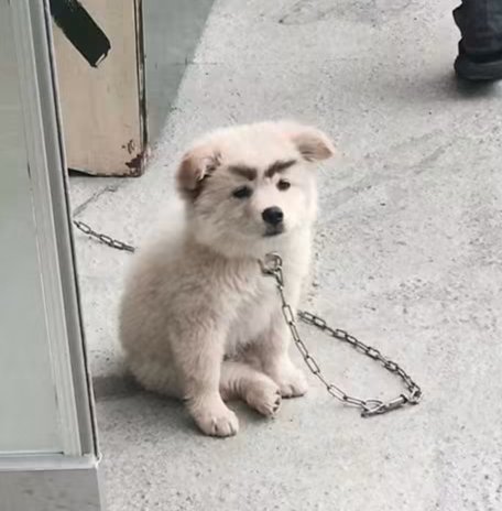 gwonchaemi31480's tweet photo. 앙..? https://t.co/3auE7drsAb