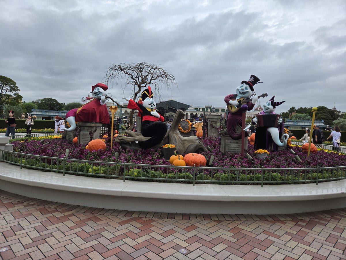 sshhoouu0402's tweet photo. ディズニーランドでした
朝から雨で、大変だったけどインパできて良かった☔
ハロウィンのショーも何も調べずに座ったらミッキー停止位置ほぼ正面で見れた
チデは隣のトロッコでした😭
乗りたいアトラクション乗れて良かったです

帰りは疲れたので高いけど、バスにしました https://t.co/PbbhXPQh0K