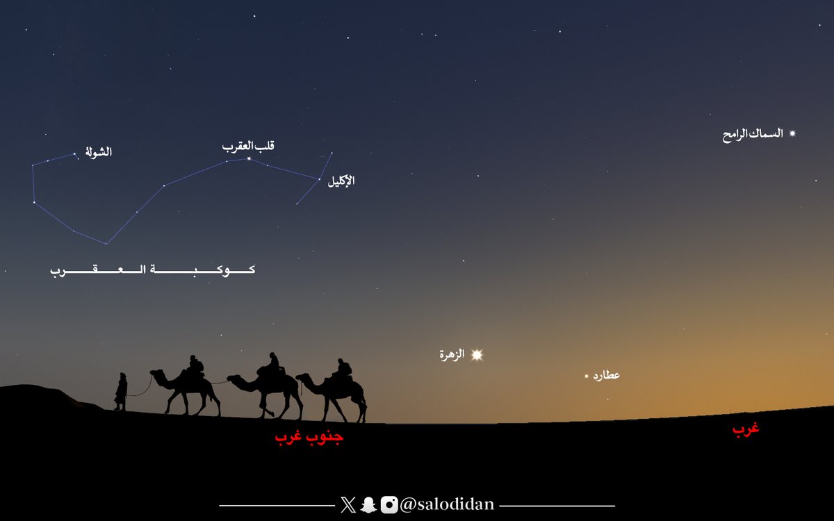 salodidan's tweet photo. ● لمحبي متابعة النجوم والكواكب
● السماء أول الليل جهة الأفق الغربي

• كوكب الزهرة (نجمة العشاء)
• كوكب عطارد
• السماك الرامح
• الإكليل
• قلب العقرب
• الشولة