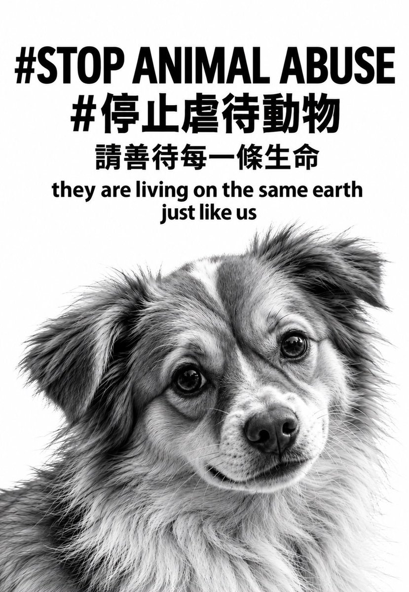 justice4wangwan's tweet photo. 중국이 판다 외교하는거 존나 웃기다니까 그냥?동물보호법도 없는 미개함 그 자체인데 ㅉㅉ
China’s “panda diplomacy” is fucking hilarious. Like, seriously? No comprehensive national animal cruelty law, yet they’re out here using pandas for diplomacy? What a joke. And somehow they’re the only ones who don’t see the irony. Lmao.
@PDChina @MFA_China @Eng_china5
@ReutersChina @XHNews @ChinaDaily