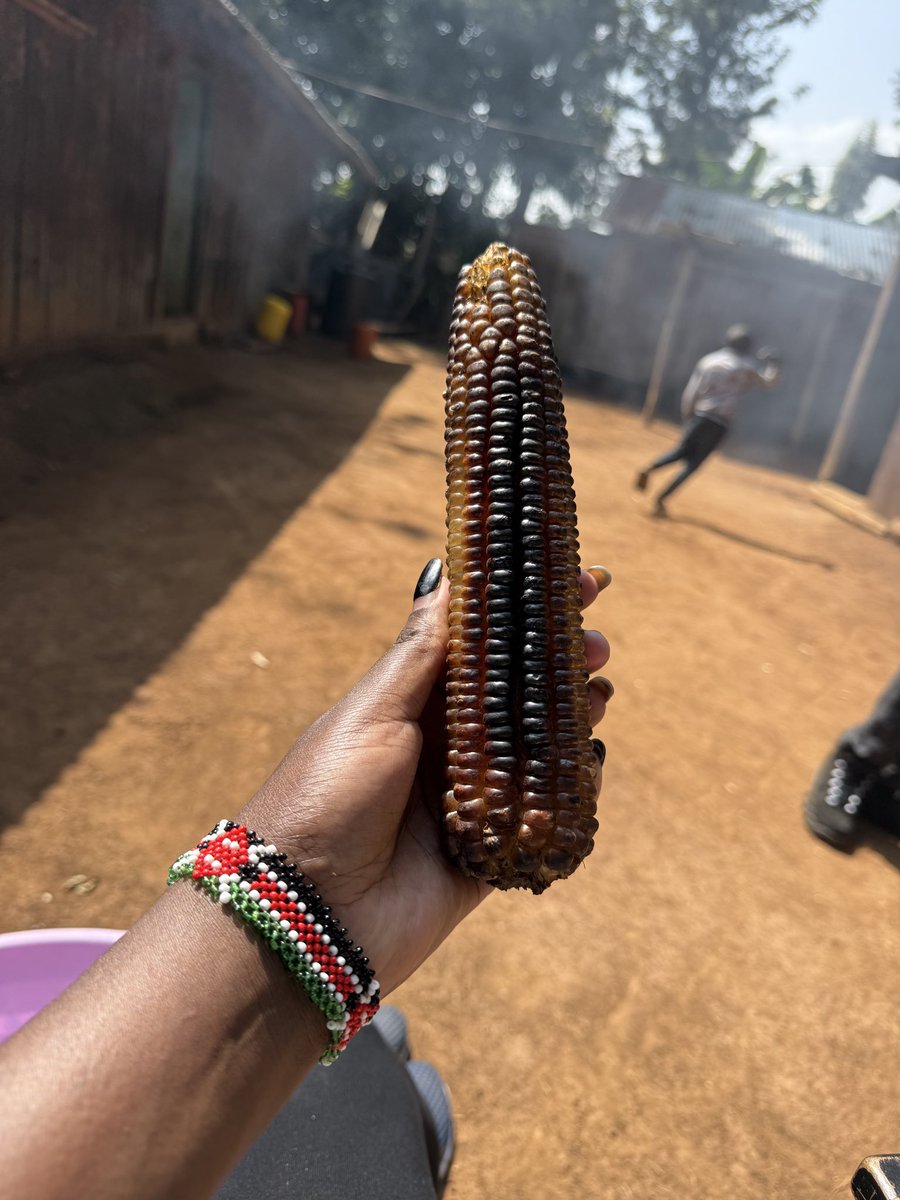 GraceyGrace18's tweet photo. Ushago chronicles 

F1-culprit is murife’ing kwa background https://t.co/isMYujQWHf