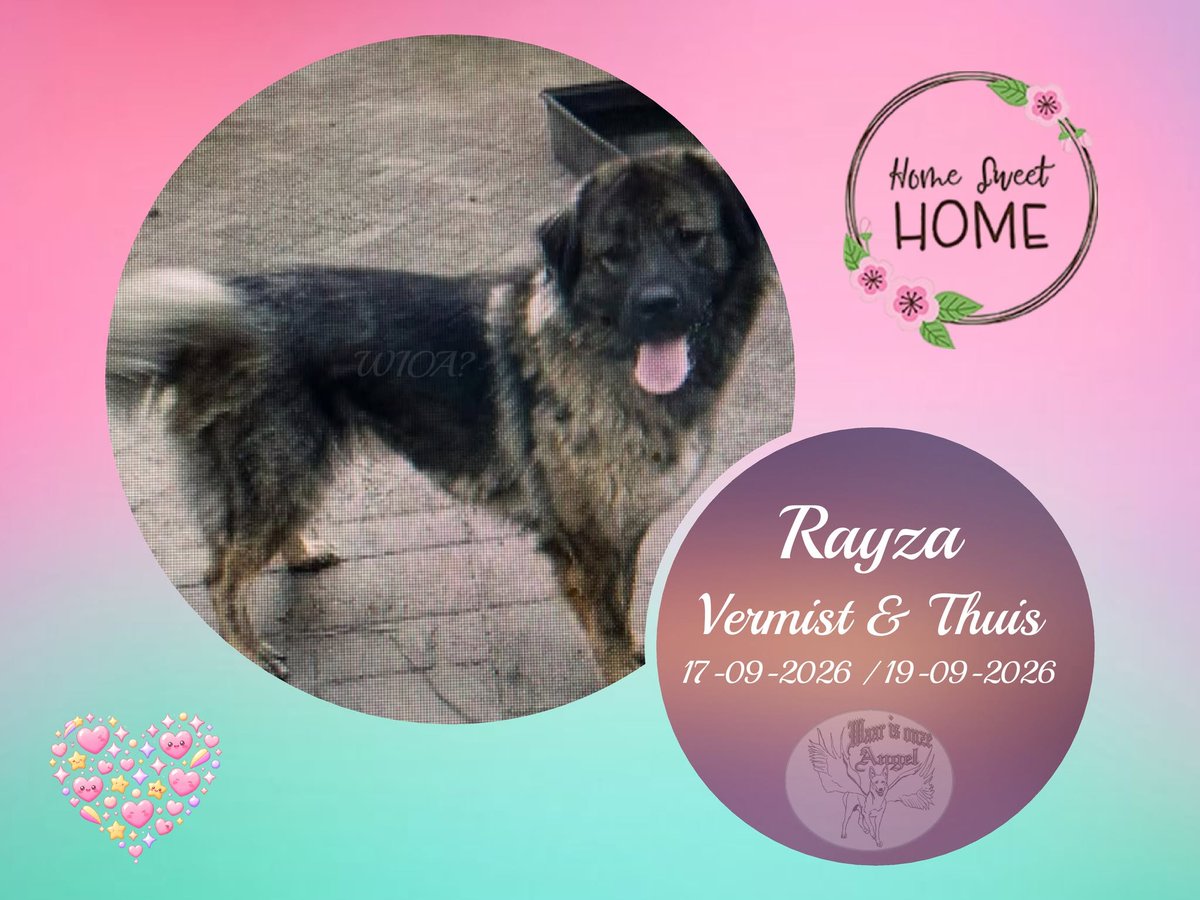 waarisonzeangel's tweet photo. Rayza uit #Peest #Drenthe is #Thuis
https://t.co/afVloIooh4
#Donaties welkom #Goeddoel
https://t.co/H9cHsSGiSD https://t.co/Ze4f9luuvz