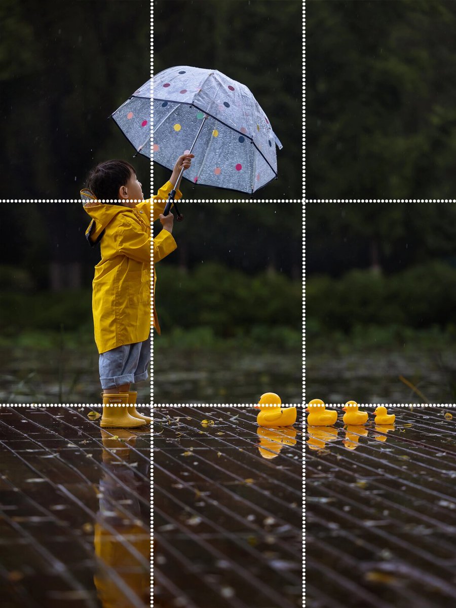 BethelPilloud's tweet photo. New to photography Start with the basics: natural light, rule of thirds, and keep your camera steady. No fancy gear needed—just curiosity! https://t.co/Q0UOTvHY8F