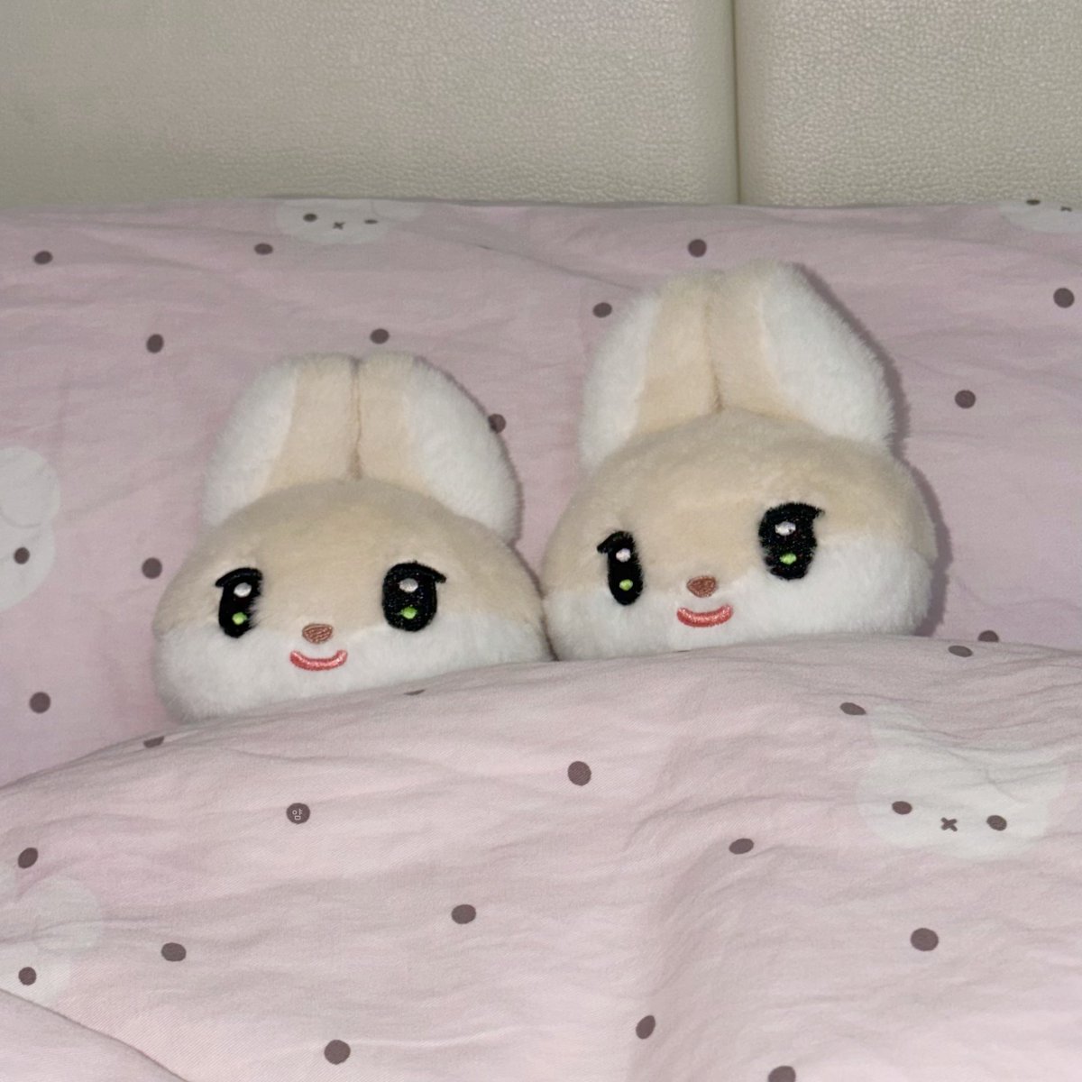 yammhj's tweet photo. 감당할 수 없는 귀여움 #한빗 https://t.co/0ASFcK0Sf1