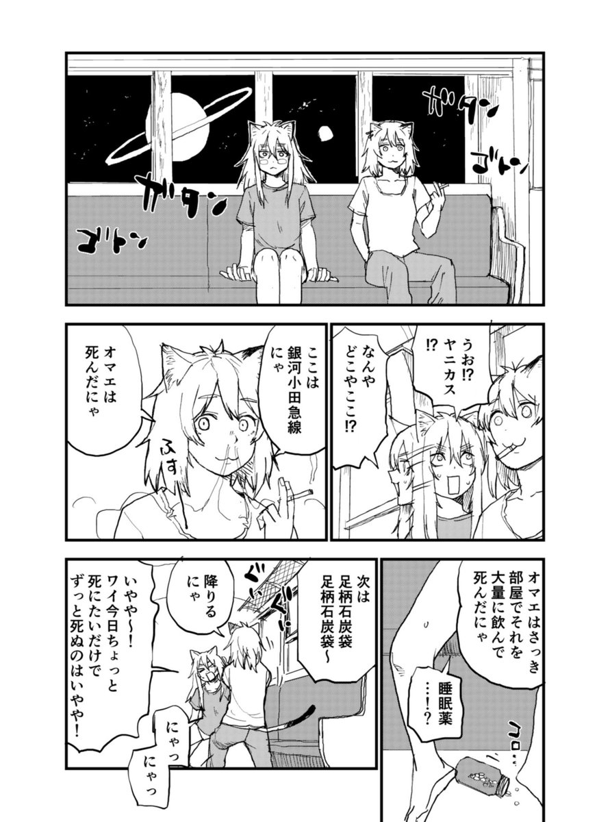 yani_neko1111's tweet photo. 微熱 https://t.co/1bn9LUp1WU