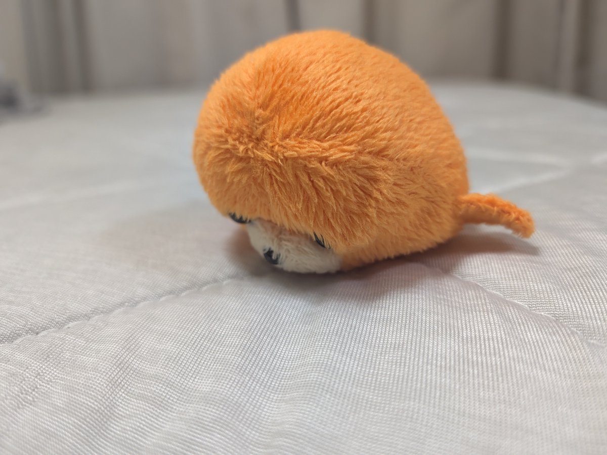mames_party's tweet photo. へちょり https://t.co/x6BwTfhory