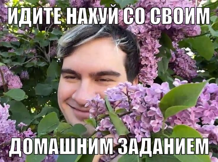 Tazzmoeq2d's tweet photo. Сижу бездельничаю вместо того чтобы писать алгебру https://t.co/k5yvDMtG7C
