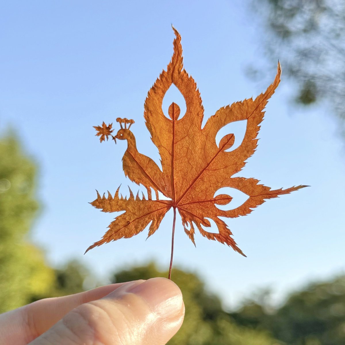 lito_leafart's tweet photo. ｢小さい秋が、ほら羽いっぱいに｣

#紅葉🍁 https://t.co/yu4eBe3lCB